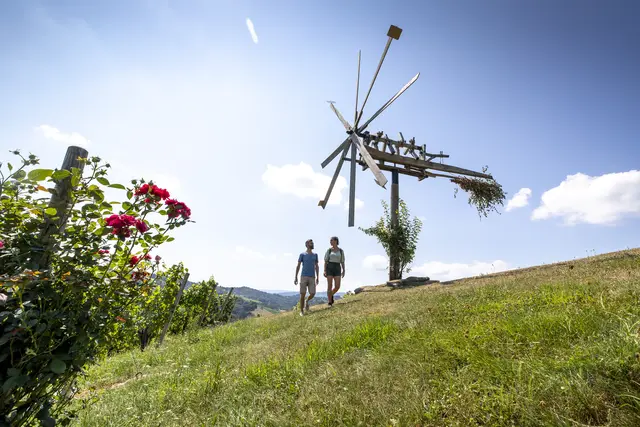 Nach einem guten Essen lohnt sich ein Spaziergang in der Südsteiermark in jeder Hinsicht. | Foto: © Steiermark Tourismus | Tom Lamm
