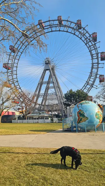 Auch das Riesenrad ist hundefreundlich: Vierbeiner dürfen ganz selbstverständlich mit den Gondeln mitfahren, auch wenn viele von ihnen die Rundreise mit Blick über Wien verschlafen. | Foto: Angelika Mandler-Saul und Ulrike Miestinger