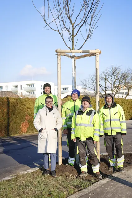 Stadträtin Eva Schobesberger (Grüne) treibt die "Baumpflanzoffensive" in Linz voran. | Foto: Stadt Linz