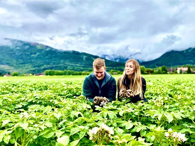 Auf den Kartoffelfeldern der Schaller-Anderwald KG gibt es regionale Unterschiede, was die Wasserknappheit anbelangt. | Foto: Schaller-Anderwald KG