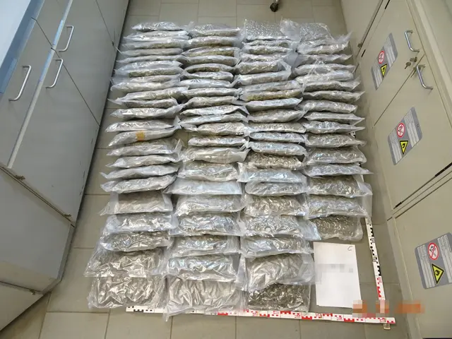 In dem Gepäckstück konnten 30 Stück vakuumverpackte Päckchen zu je 500 Gramm Cannabiskraut aufgefunden werden | Foto: LPD NÖ