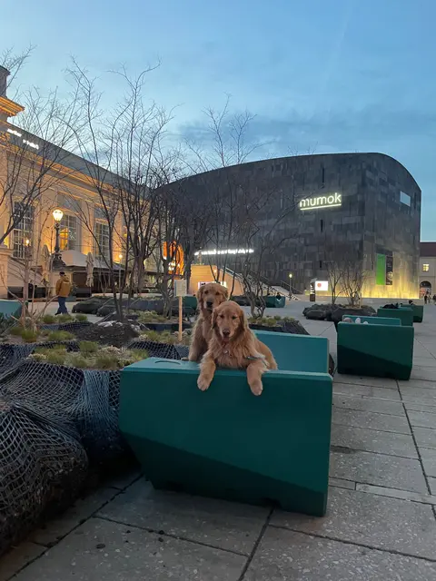 Im Museumsquartier im 7. Bezirk sind Hunde erwünscht – auch auf den Enzis und zu jeder Jahreszeit. | Foto: Angelika Mandler-Saul und Ulrike Miestinger