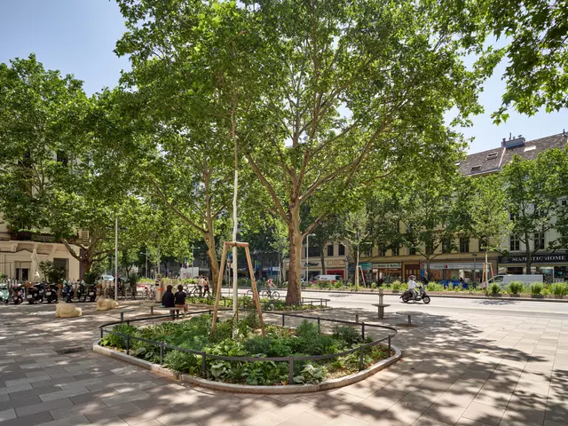 Im Rahmen der Umgestaltung wurde die Praterstraße zu einem ökologisch und sozial nachhaltigen Boulevard umgestaltet. 100 neue Bäume, helle Pflasterflächen, Wasserelemente und Trinkbrunnen sollen die Sommerhitze reduzieren. | Foto: Kurt Hoerbst