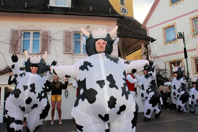Kuhle Show der Ligister Faschingsgilde am Marktplatz | Foto: Cescutti