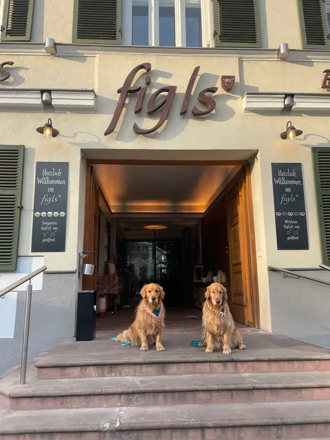 Im Bierlokal Figls in der Grinzinger Straße 55 in Döbling sind Hunde gern gesehene Gäste. | Foto: Angelika Mandler-Saul und Ulrike Miestinger
