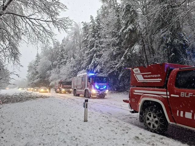 Zwischen Ligist und St. Stefan ob Stainz kam es zu Verkehrsbehinderungen wegen umgefallener Bäume. | Foto: FF Steinberg