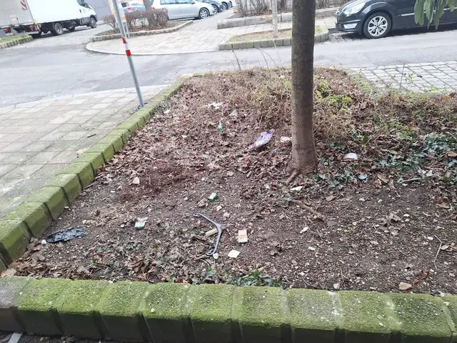 Foto: zVg