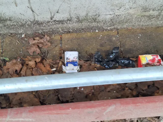 Foto: zVg