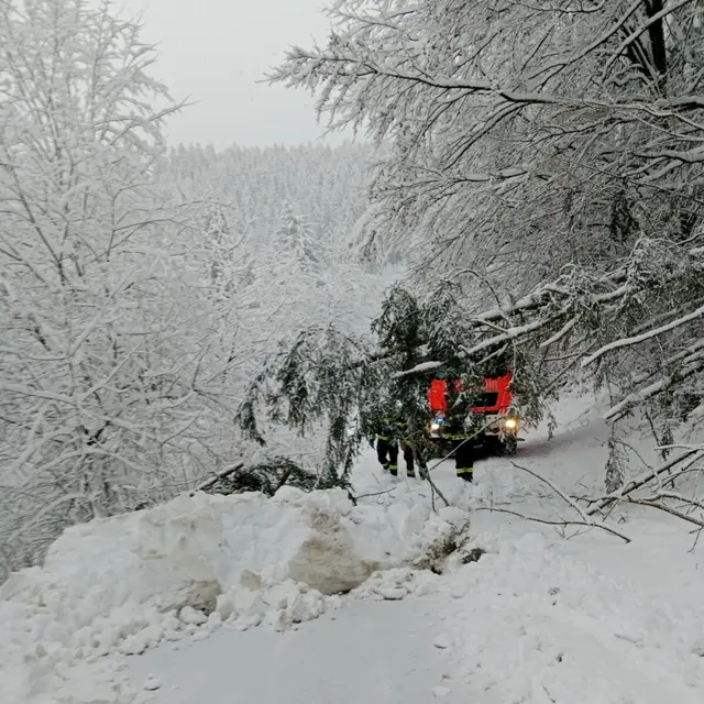Umgestürzte Bäume sorgten für unpassierbare Straßen. | Foto: Feuerwehr der Stadt Kapfenberg