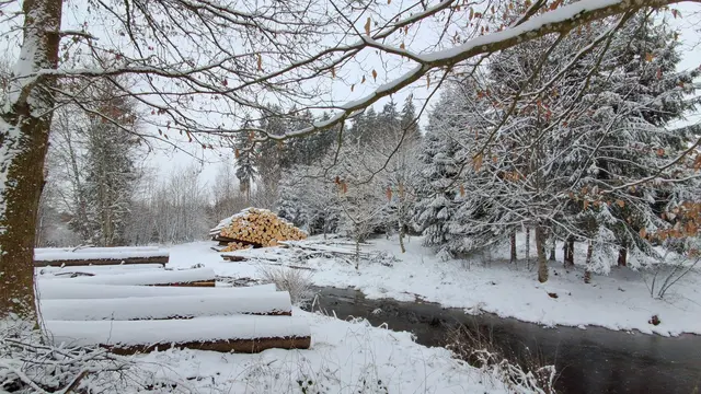 ....Holz brauchen wir alle.