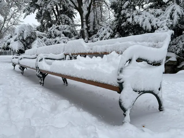Am Freitagmorgen präsentierte sich Wien unter einer zentimeterdicken Schneedecke. | Foto: MeinBezirk