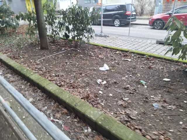 Foto: zVg