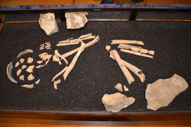 Der "Neunkirchner Ötzi". | Foto: Stadtgemeinde Neunkirchen