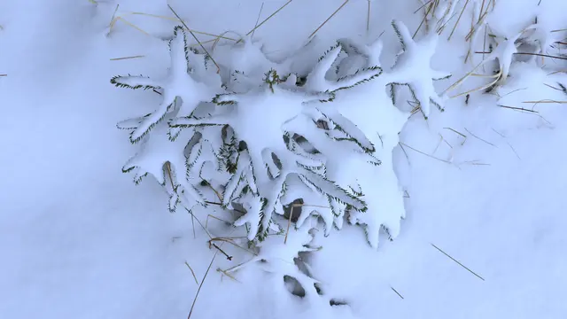 ...der Winter kann so schön sein.