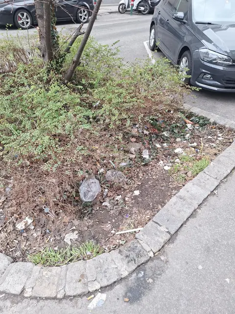 Foto: zVg
