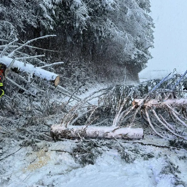 Foto: Feuerwehr der Stadt Kapfenberg