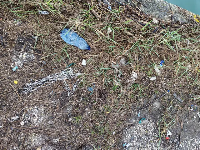 Plastiknetze für den Transport von Muscheln 