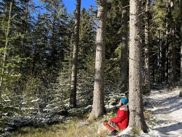 Den Ausgleich zu ihrer Arbeit findet die Langenwangerin in ihrem eigenen Wald im Mürztal. | Foto: Lebitsch