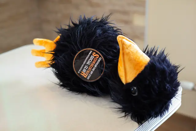 Rabe "Blacky" ist das Maskottchen des Schwarzataler Social Club. | Foto: Santrucek