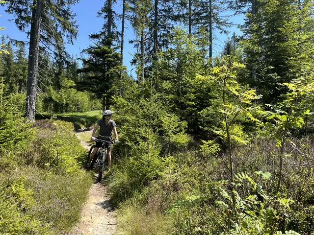 Eines ihrer Hobbys ist das Mountainbiken auf den Almen der Steiermark.  | Foto: Lebitsch