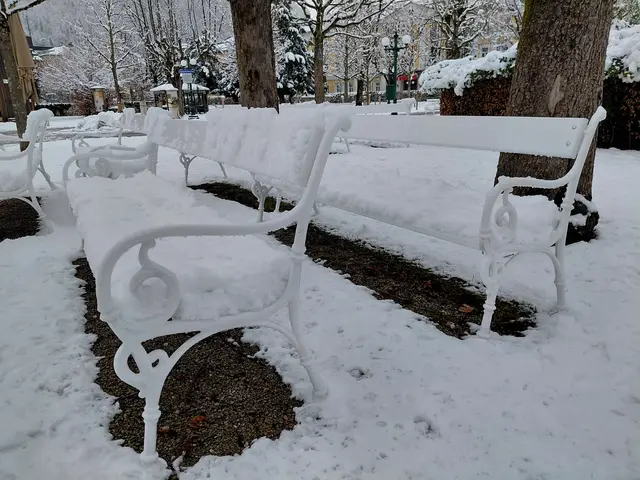 Foto: H.Bachinger