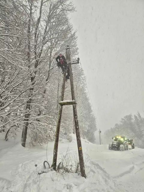 Netz NÖ Mitarbeiter im Einsatz: Im Gebiet Bad Schönau/Maierhöfen fiel am frühen Morgen ein Baum in die Leitung und verursachte eine Unterbrechung. | Foto: Netz NÖ