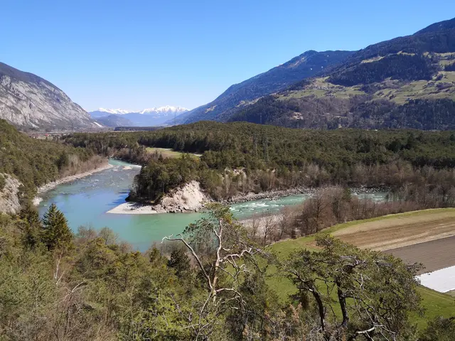 Der Haiminger Forchetwald wird nach dem Willen des Haiminger Gemeinderates nicht unter Schutz gestellt. | Foto: Götsch