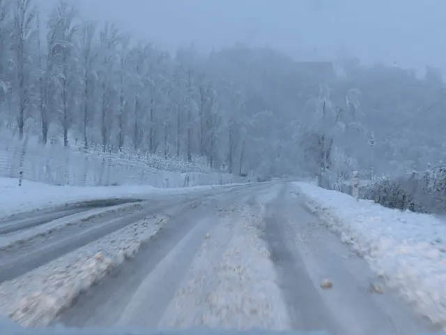 Laut Warnwetterzentrale sollten Personen heute Fahrten vermeiden. | Foto: MeinBezirk/Waltraud Fischer