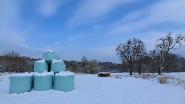 ...wirklich nur ganz kurz hat sich der blaue Himmel 
gezeigt.