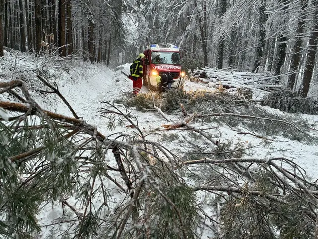 Foto: Feuerwehr Limbach