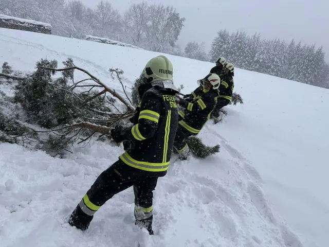 Foto: Feuerwehr Stinatz