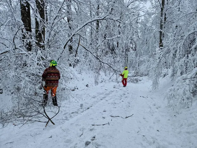 Foto: Feuerwehr Sulz