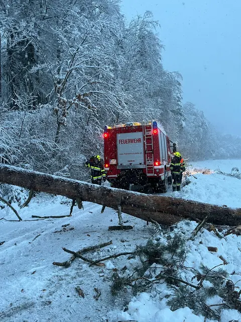 Fast 2.000 Einsätze verzeichnete der Landesfeuerwehrverband am Freitag aufgrund der starken Schneefälle.  | Foto: FF St. Stefan/R.