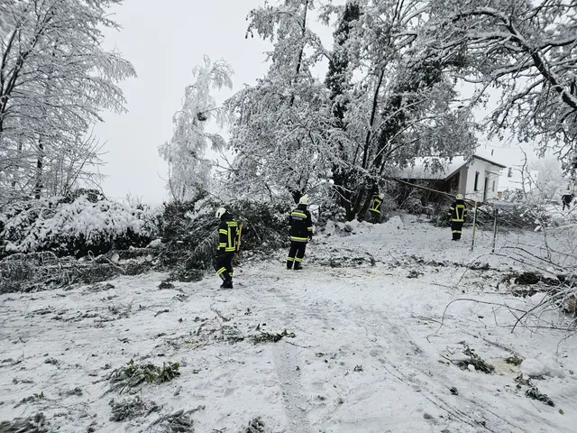 Foto: Feuerwehr Jennersdorf
