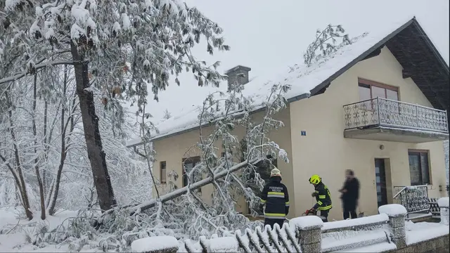 Die Feuerwehren stehen im Dauereinsatz, um umgestürzte Bäume zu beseitigen. | Foto: Feuerwehr Welten