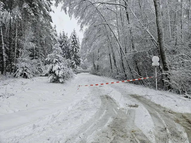 Foto: Feuerwehr Ollersdorf