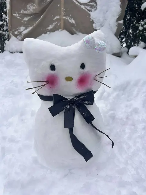 Schneekatze in Eisenberg | Foto: Alina Hofstätter