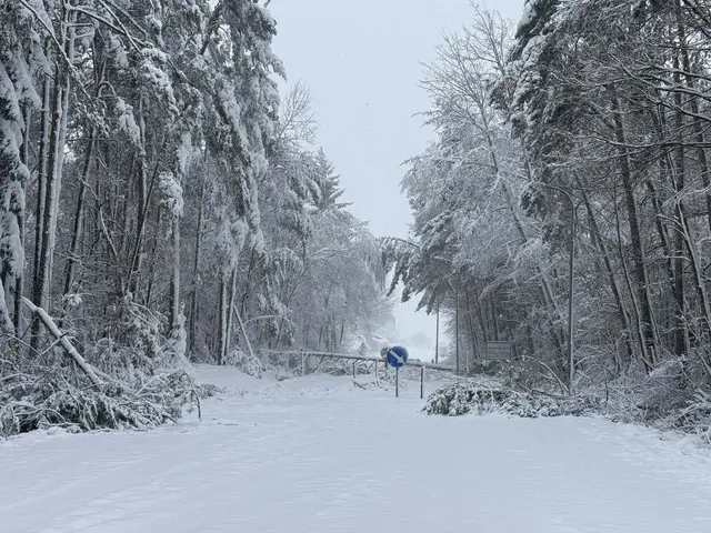 Die Landesstraße zwischen Stinatz und Ollersdorf bleibt mindestens bis Sonntag gesperrt. | Foto: Feuerwehr Stinatz