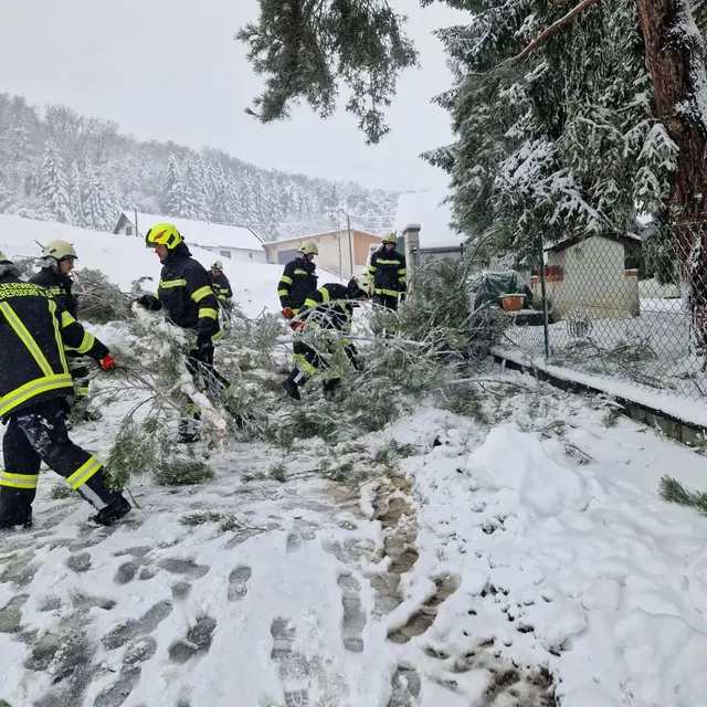 Foto: Feuerwehr Gerersdorf
