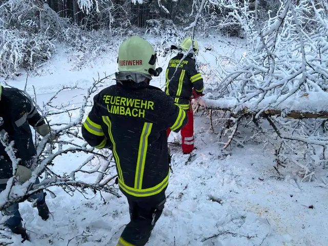 Foto: Feuerwehr Limbach