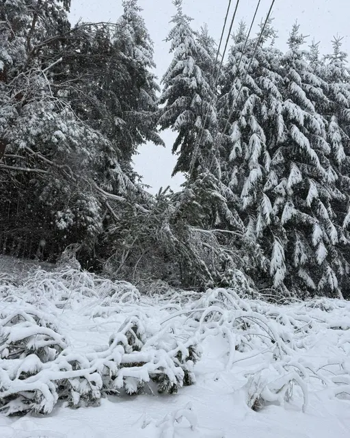 Foto: Netz Burgenland