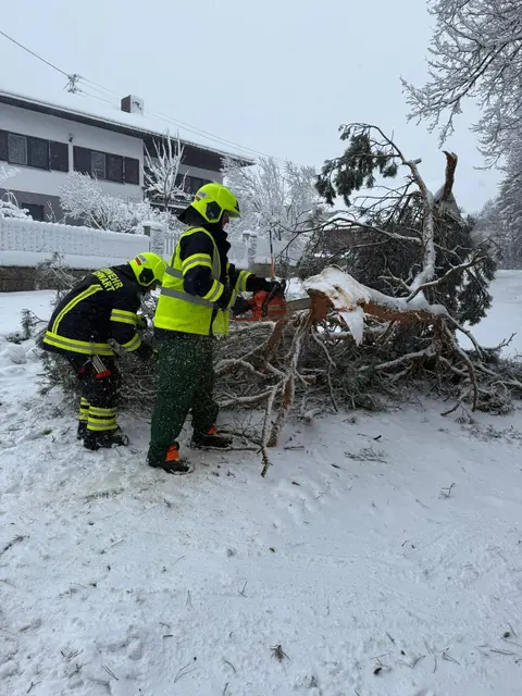 Foto: Feuerwehr Rauchwart