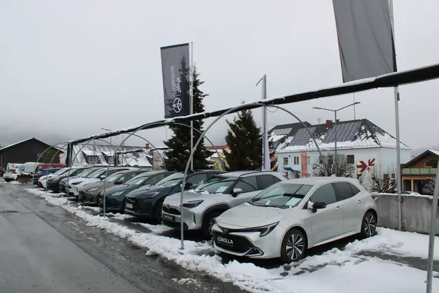 Foto: René Lederer