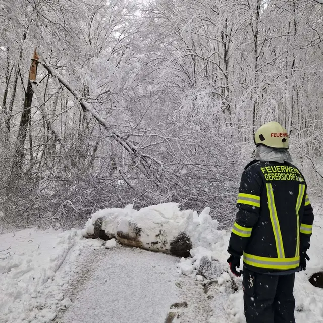 Foto: Feuerwehr Gerersdorf