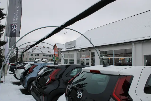 Foto: René Lederer