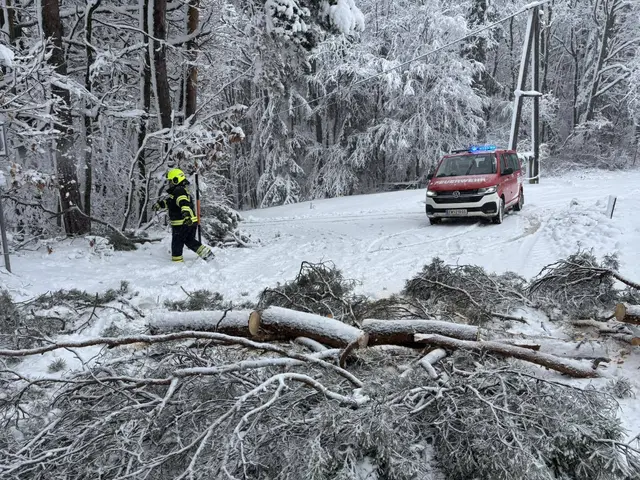 Foto: Feuerwehr Rauchwart