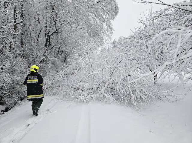Foto: Feuerwehr Ollersdorf
