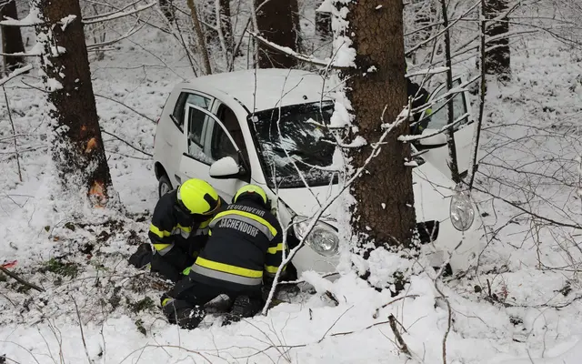 Ein Auto landete im Wald. | Foto: FF/Zeiler