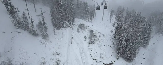 Freier Skiraum in Serfaus: Eine Schneebrettlawine erreichte aufgrund einer Bruchfortpflanzung eine Länge von ca. 150 Metern. Ein Österreicher wurde von der Lawine erfasst und vollständig verschüttet. Er verstarb im Krankenhaus. | Foto: Alpinpolizei Tirol