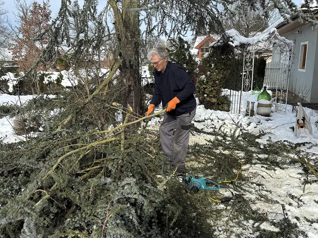 Nach dem Schneesturm: Andreas Huber kämpft sich durch das Chaos in seinem zerstörten Garten. | Foto: Anna Maria Kaufmann
